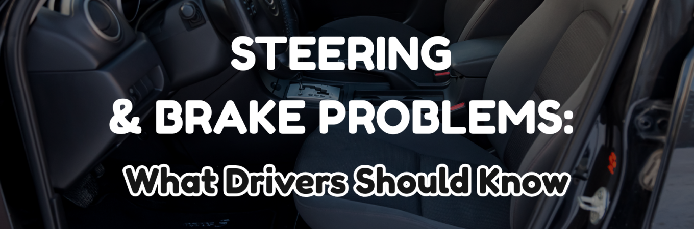 steering & brake problems inspection on steering rack and brake rotor